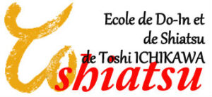 Logo-Toshiatsu-mars-2016-2