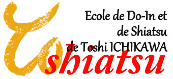 Logo-Toshiatsu-mars-2016-2